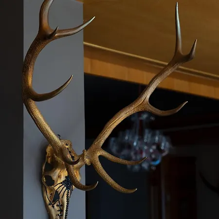 Ξενοδοχείο Wildauers Haidenhof & Sleep