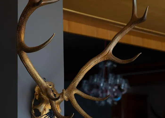 Hotel Wildauers Haidenhof & Sleep